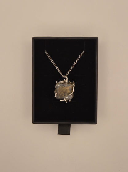 ClawBud Chain Kette Edelstahl
