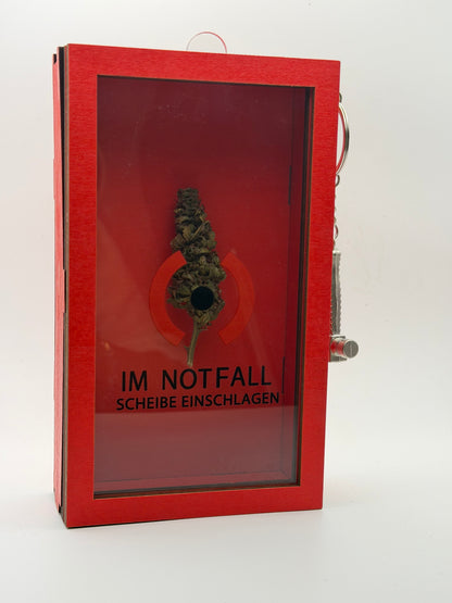 BudChainz Notfallbox